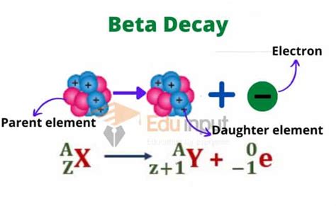 beta decay definition